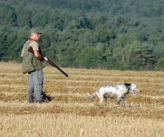 Aprobada la disposición general de vedas de caza en Navarra para 2015-2016